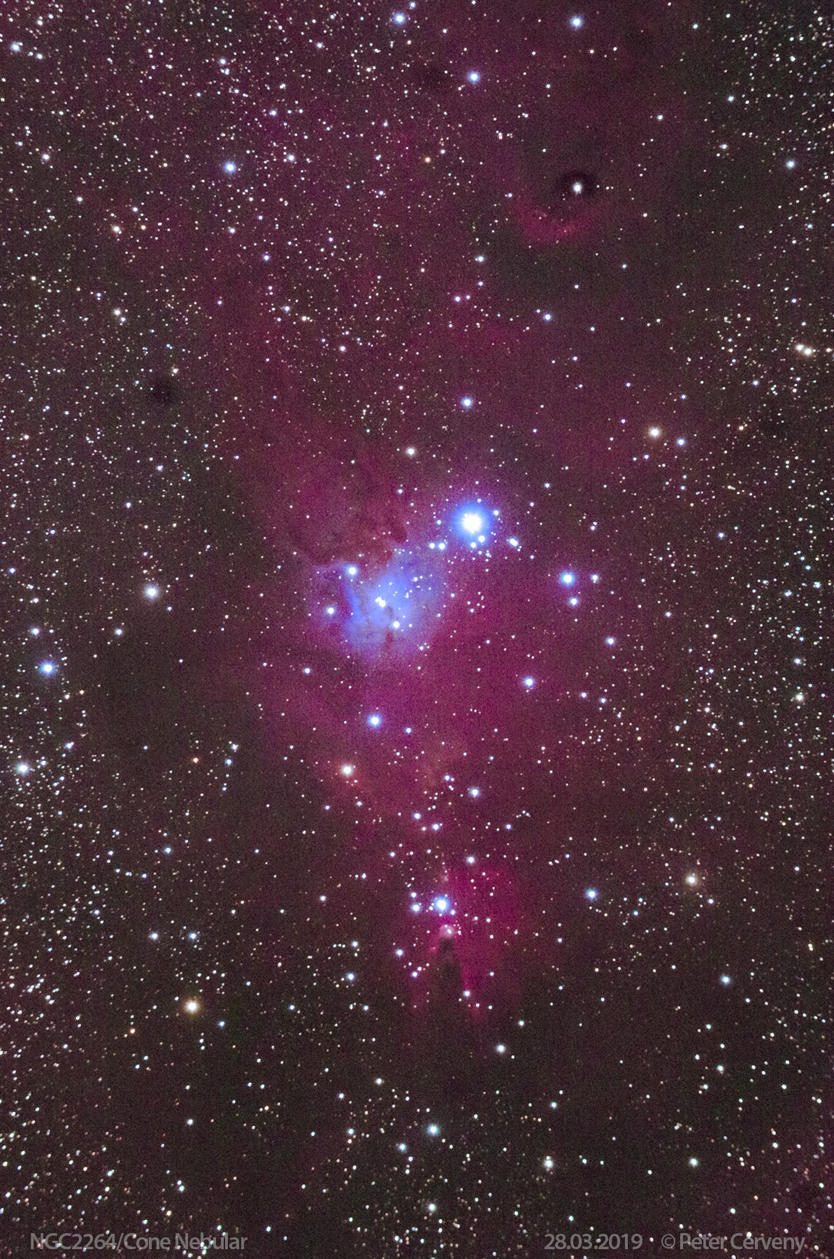 w1800 20190328 NGC2264 A7Ra ISO3200 11x120s
